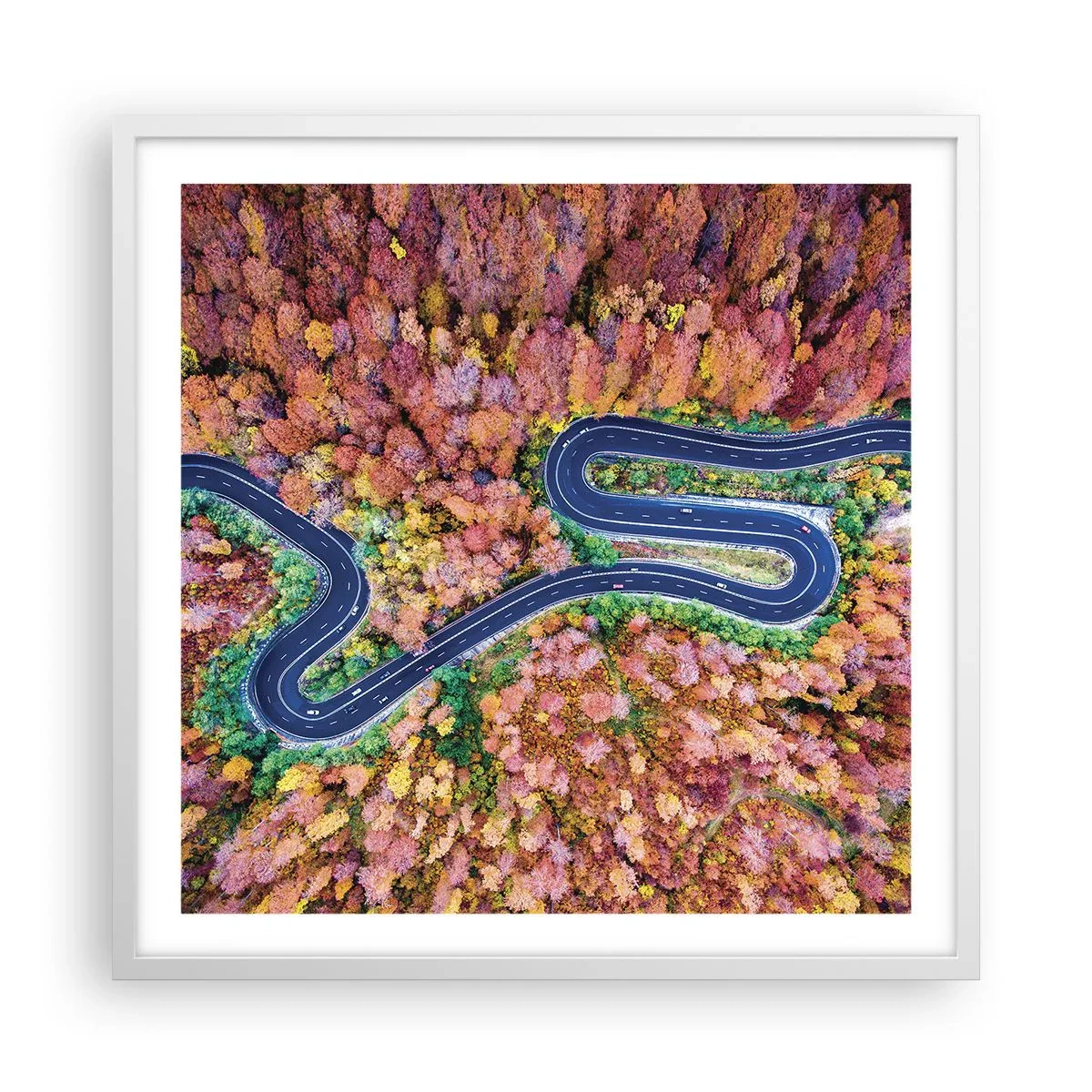 Poster in white frmae - Winding Path through a Forest - 60x60 cm