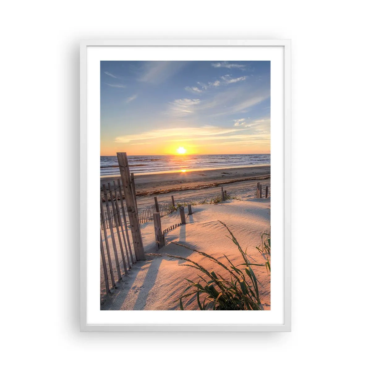 Poster in white frmae - Light and Shade of the Wind - 50x70 cm