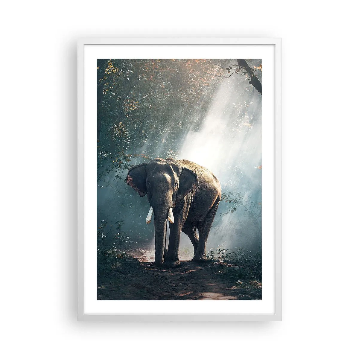 Poster in white frmae - Quiet Stroll - 50x70 cm