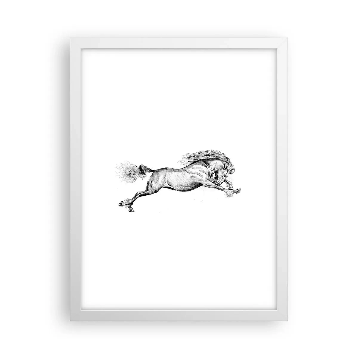 Poster in white frmae - Stopped at a Gallop - 30x40 cm