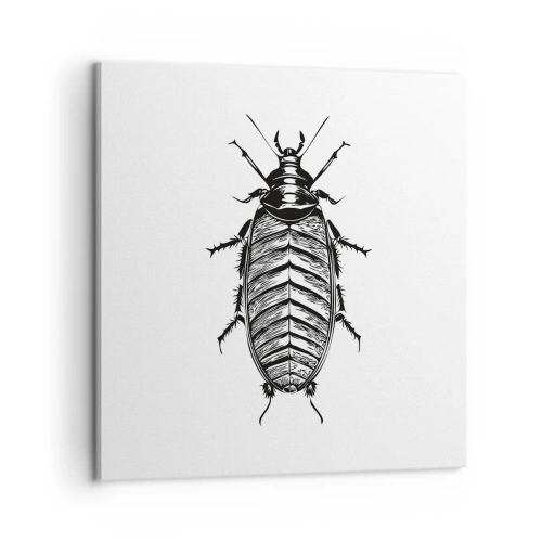 Canvas picture - What a Specimen - 60x60 cm