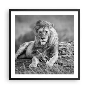 Poster in black frame - Royal Siesta - 60x60 cm