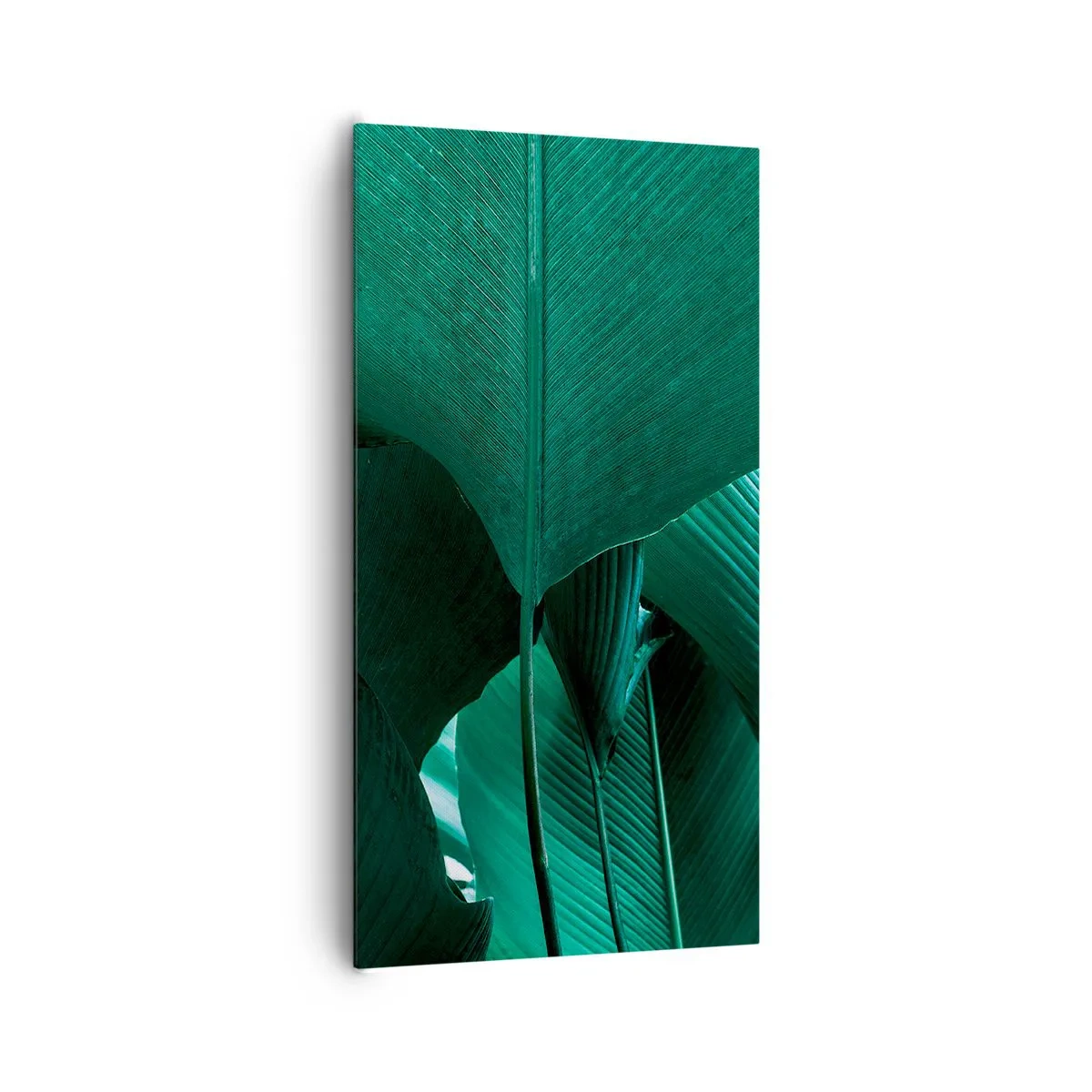 Canvas picture - Turned towards Light - 65x120 cm