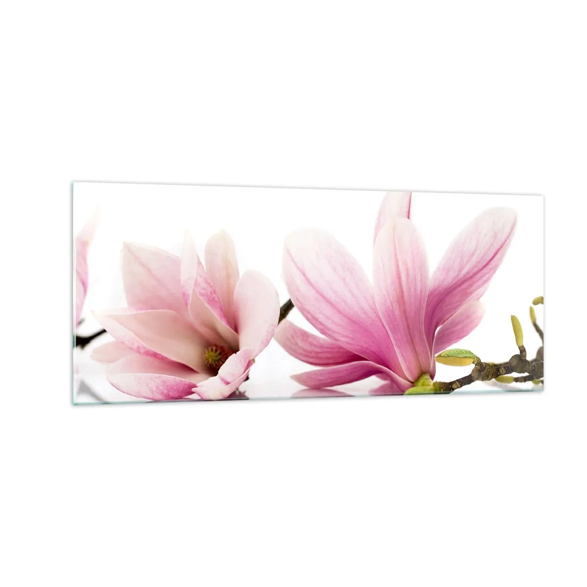Glass picture - Delicate Like a Spring Breeze - 100x40 cm