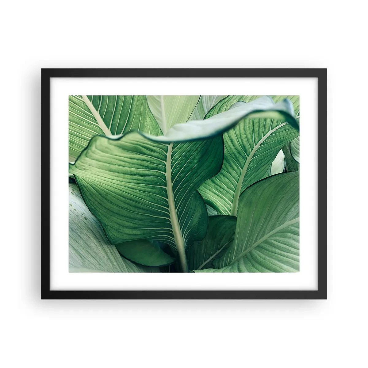 Poster in black frame - Life in Intense Green Colour - 50x40 cm