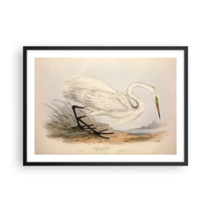 Poster in black frame - Lady on the Marsh - 70x50 cm