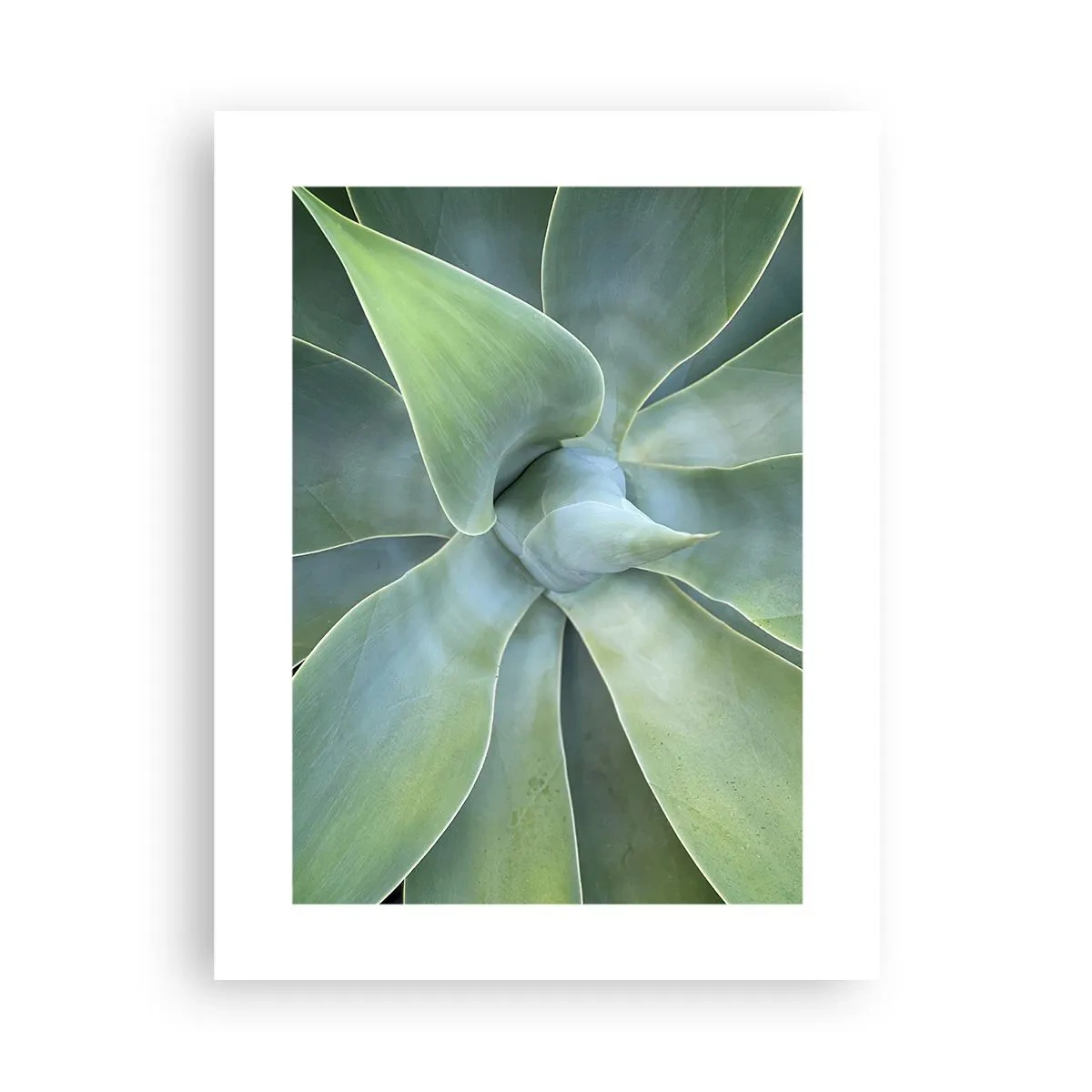 Poster - Birth of Green - 30x40 cm