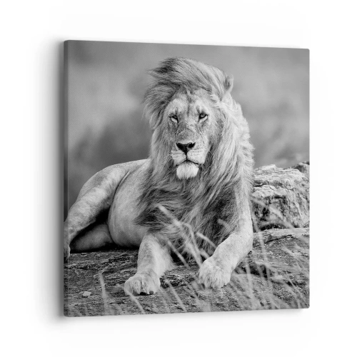 Canvas picture - Royal Siesta - 40x40 cm