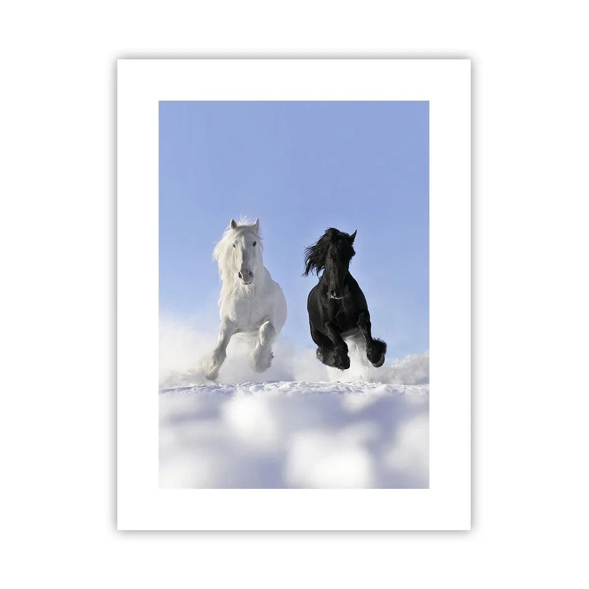Poster - Black and White Gallop - 30x40 cm
