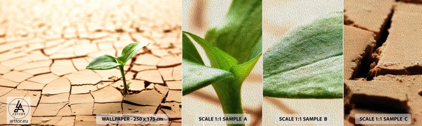 Photo Wallpaper Sample Premium Sand - Untamed Life Force - Nature, Plant, Drought - 100x30 cm