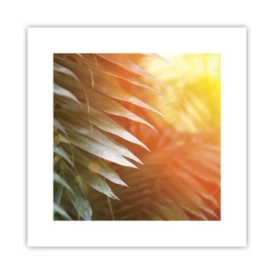 Poster - Morning in the Jungle - 30x30 cm