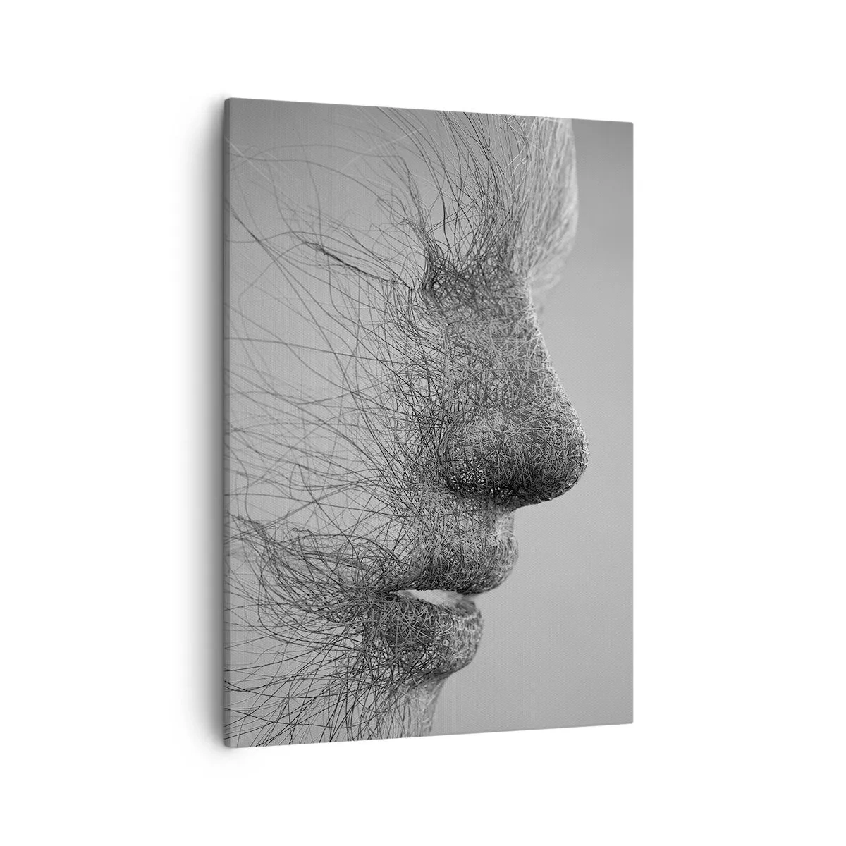 Canvas picture - Spirit of the Wind - 50x70 cm