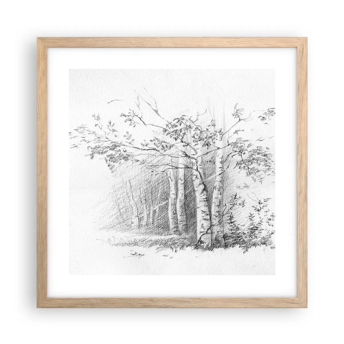 Poster in light oak frame - Holiday of Birch Forest - 40x40 cm