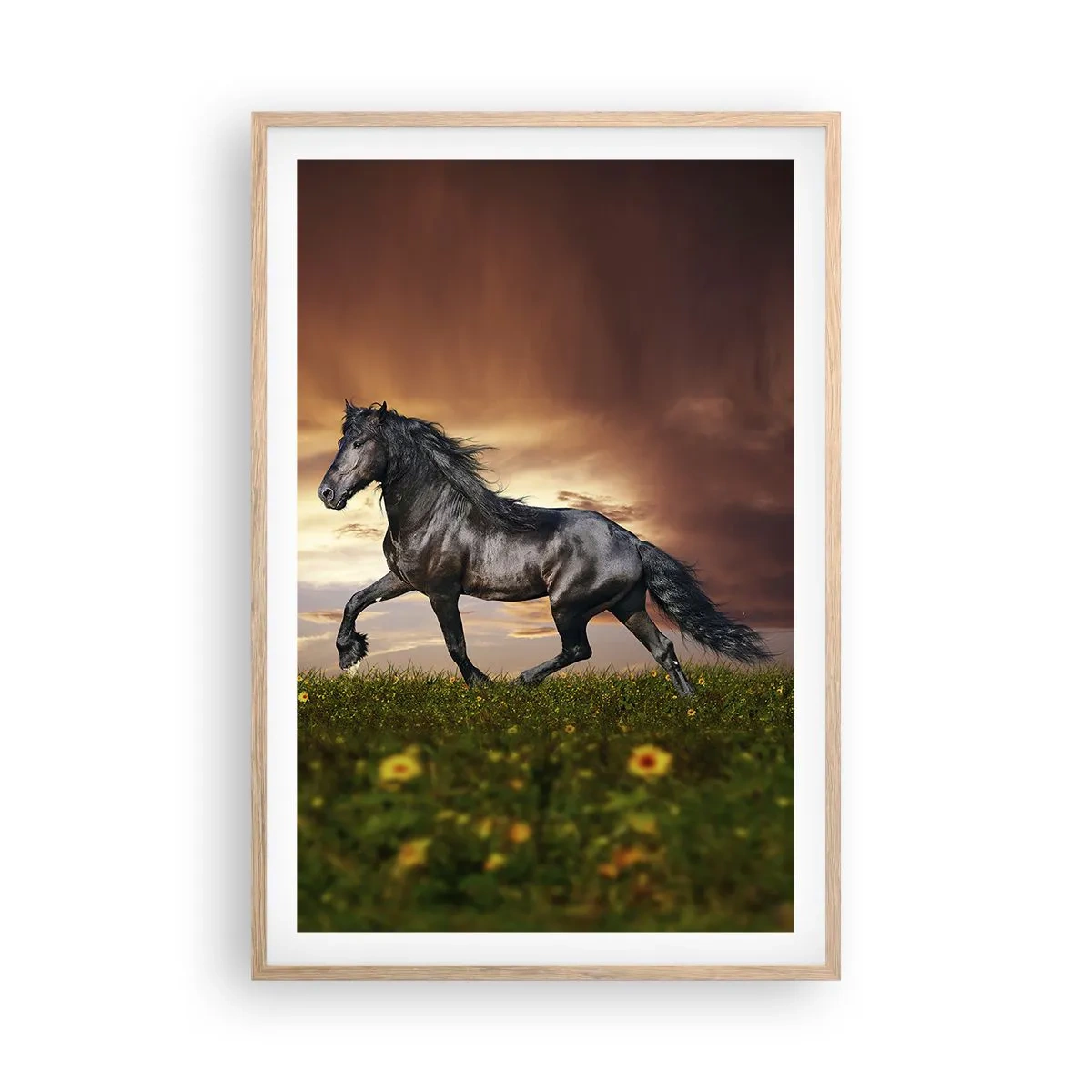 Poster in light oak frame - Black Prince - 61x91 cm