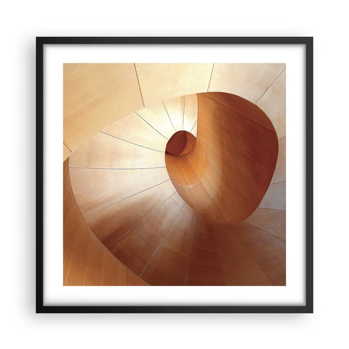 Poster in black frame - Architectural Serpentine - 50x50 cm