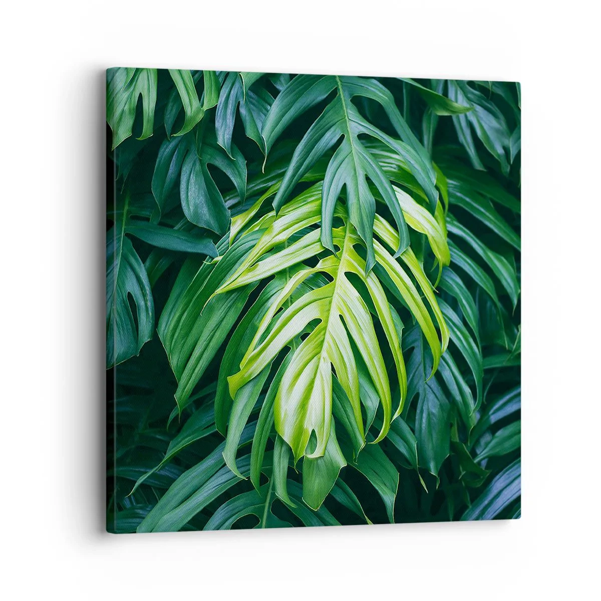 Canvas picture - Immerse Yourself in Freshness - 30x30 cm