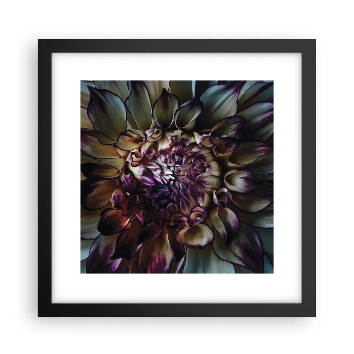 Poster in black frame - The Blossoming of Youth - 30x30 cm
