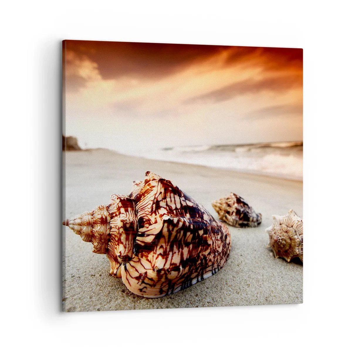 Canvas picture - Expelled by Waves - 50x50 cm