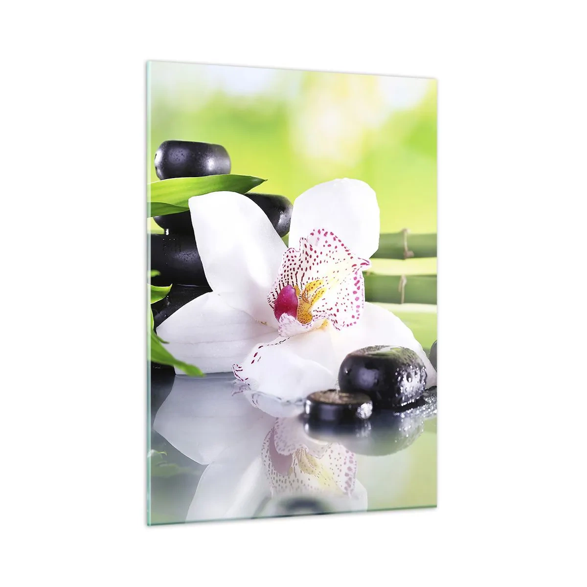 Glass picture - Cool Freshness - 50x70 cm