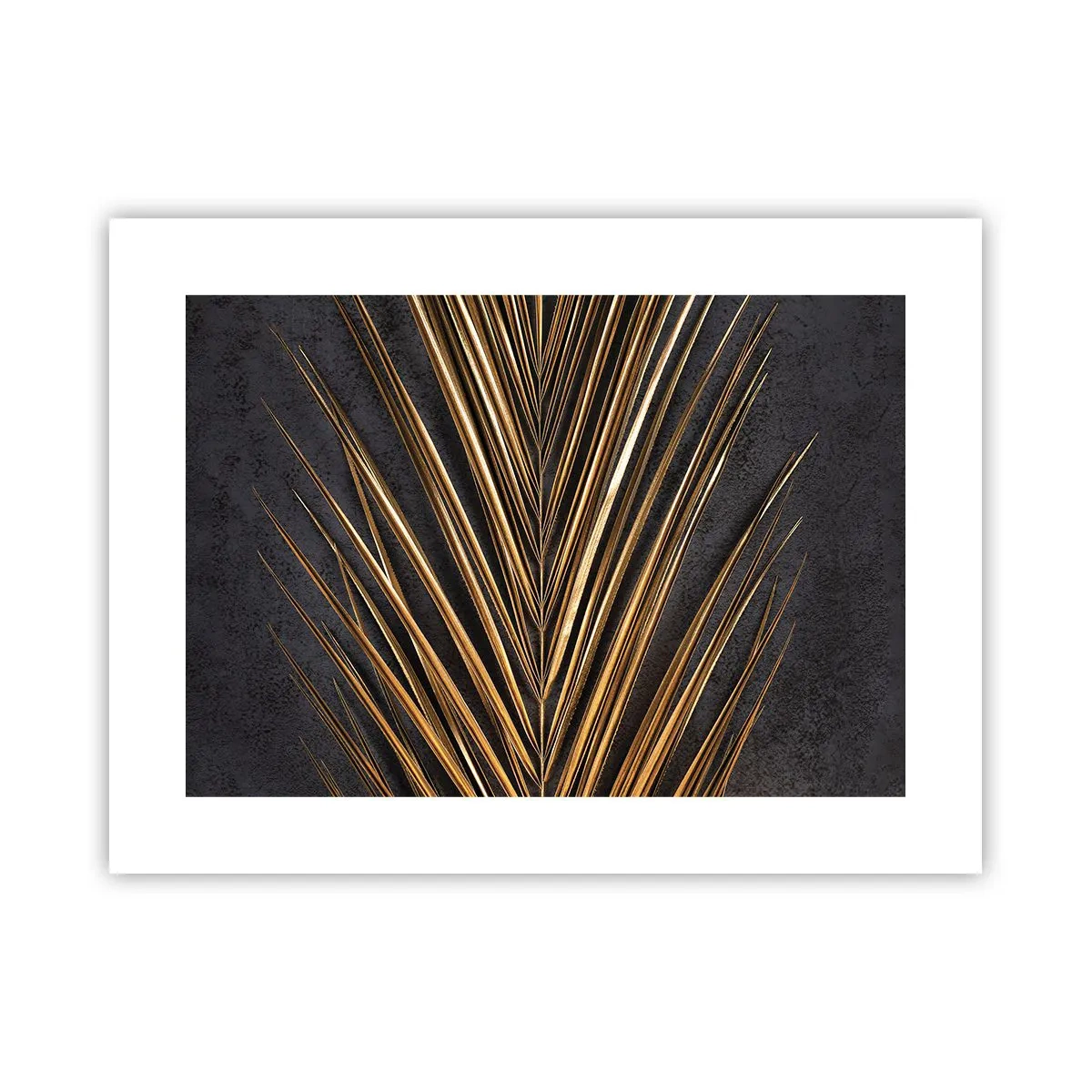 Poster - Gold of the Tropics - 40x30 cm