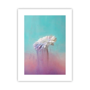 Poster - Afterlife of Flowers - 30x40 cm