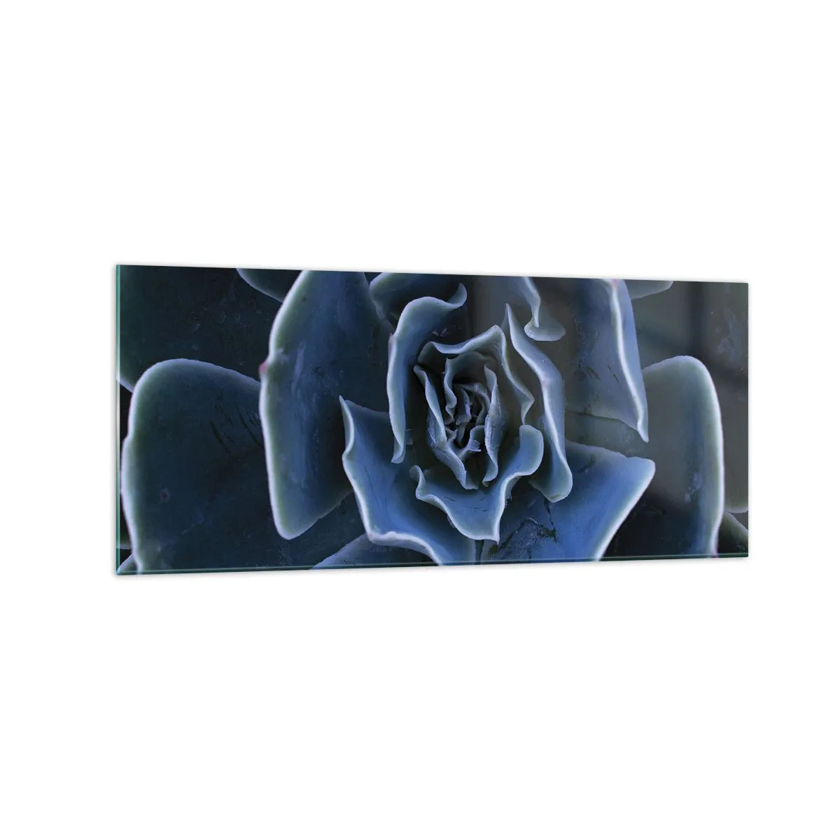 Glass picture - Flower of the Desert - 120x50 cm