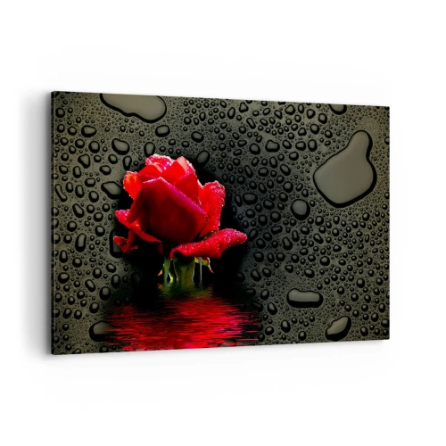 Canvas picture - Red and Black - 120x80 cm