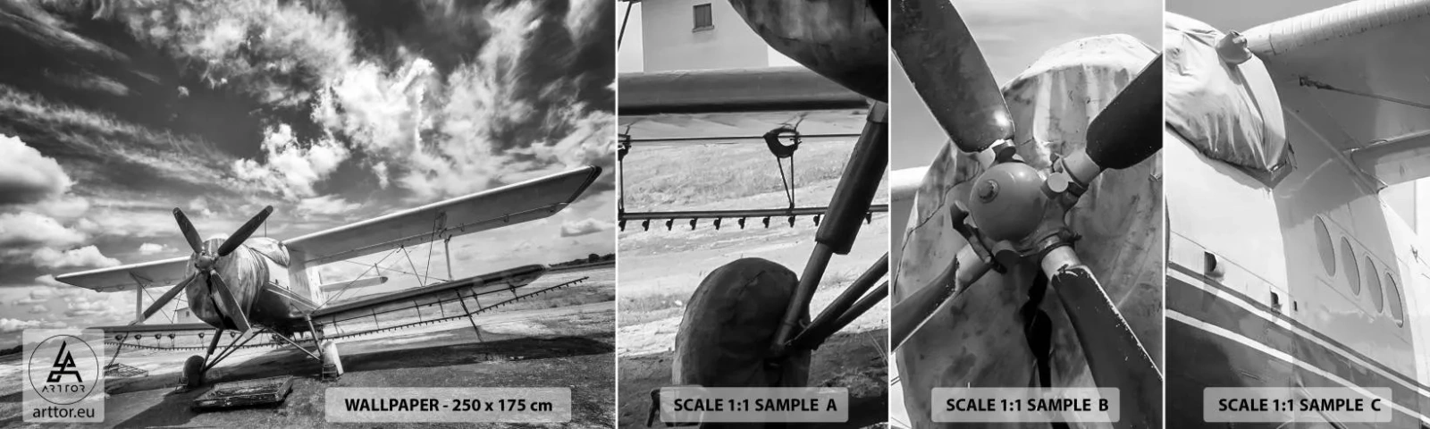 Photo Wallpaper Sample Standard Eco - I Can't Wait! - Plane, Aircraft, Black and white - 100x30 cm