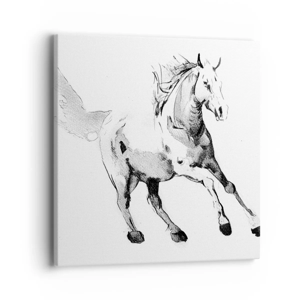 Canvas picture - Untamed Soul - 40x40 cm