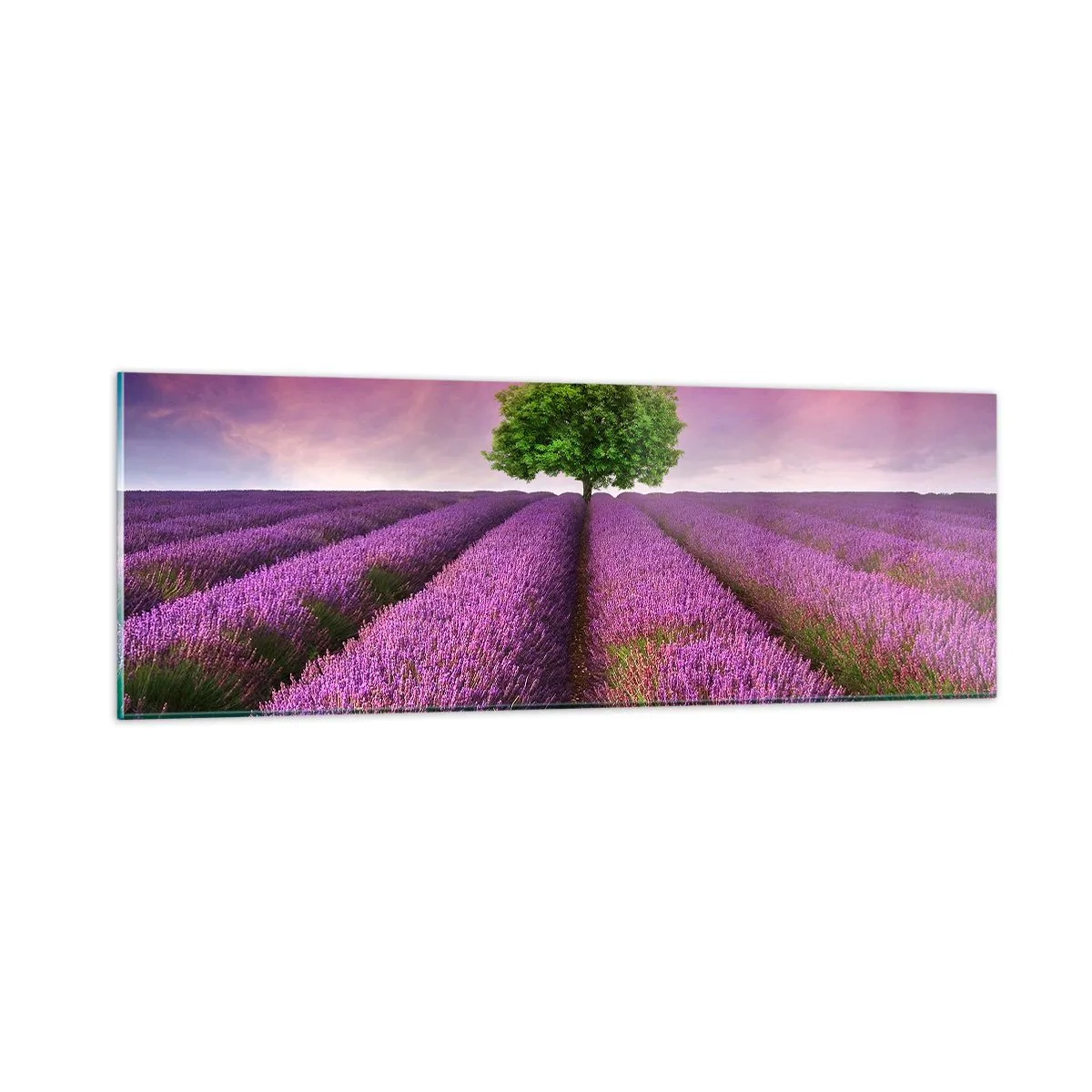 Glass picture - In the Fields of Lavender - 90x30 cm
