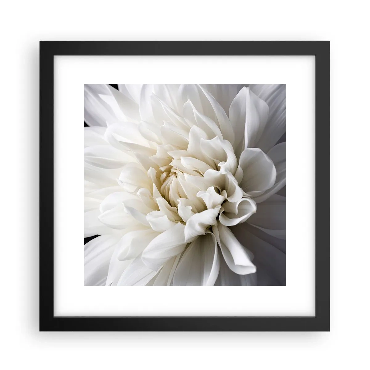 Poster in black frame - Bride's Morning - 30x30 cm