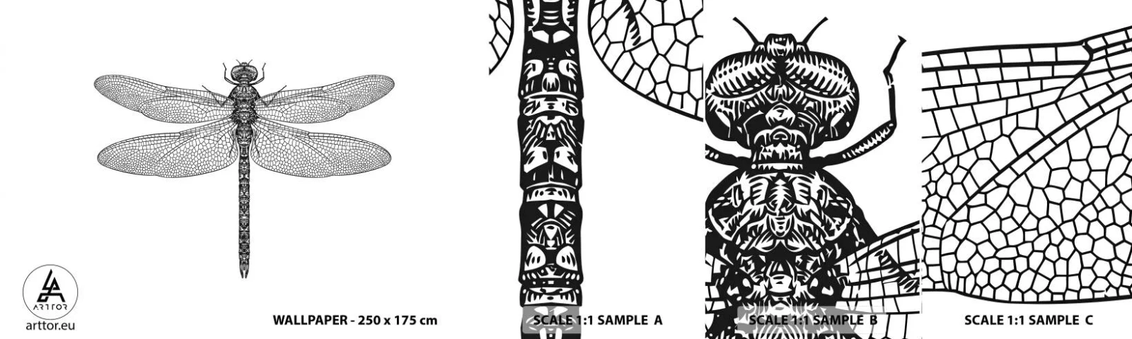 Photo Wallpaper Sample Standard Eco - Precision of Nature - Dragonfly, Insect, Minimalistic - 100x30 cm