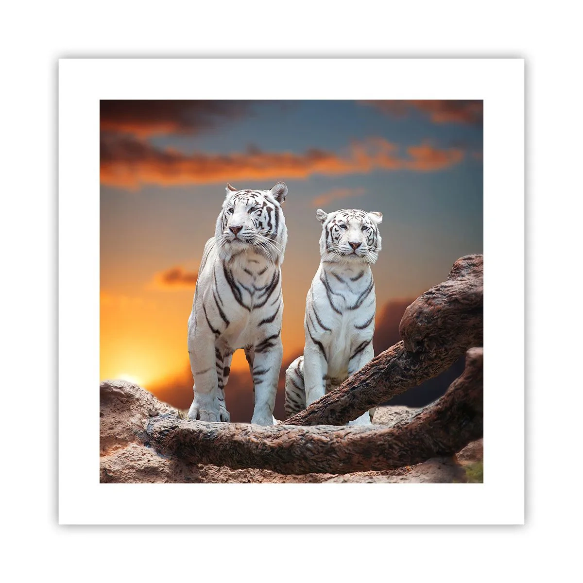 Poster - Just Like in Narnia - 40x40 cm