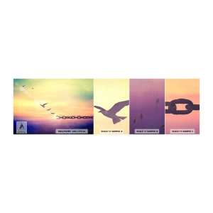 Photo Wallpaper Sample Standard Eco - Victory of Freedom - Abstraction, Birds, Piece - 100x30 cm