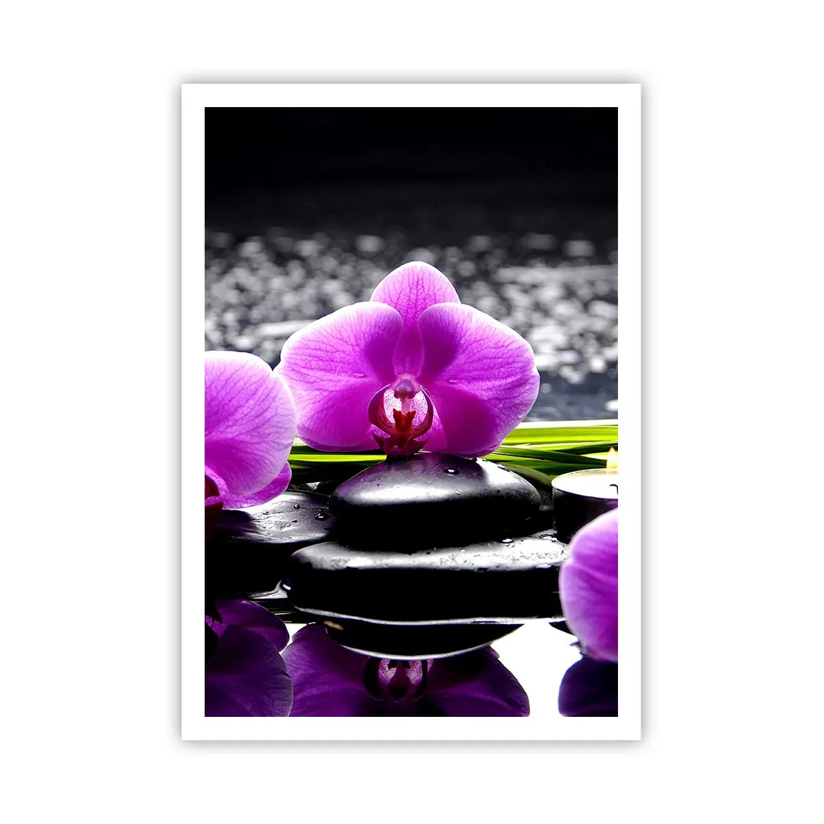 Poster - Drowning in Peace and Quiet - 70x100 cm