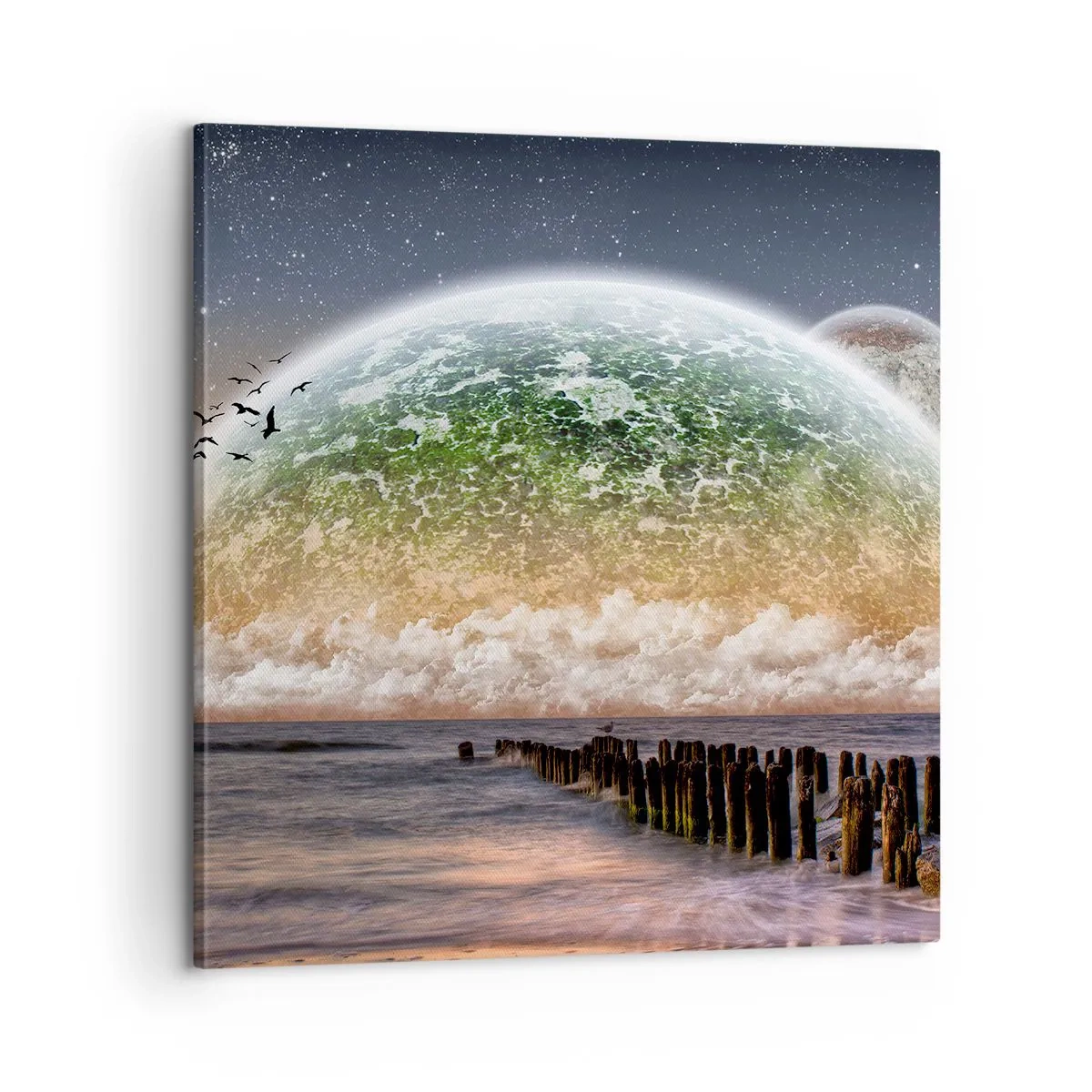 Canvas picture - And the World Has Emerged from Water - 60x60 cm