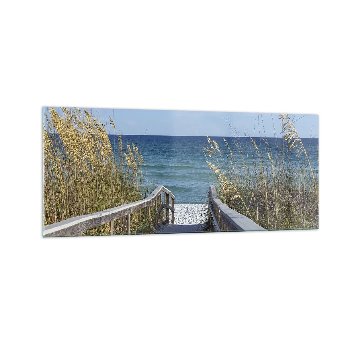 Glass picture - In the Sun, out in the Wind - 100x40 cm