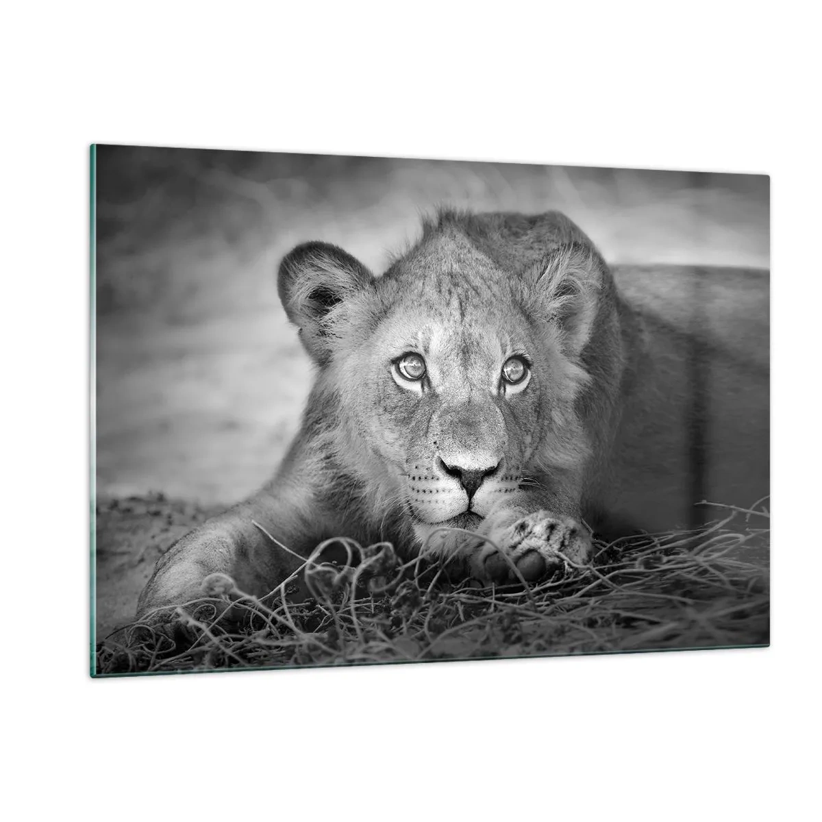 Glass picture - Royal Puppy - 120x80 cm