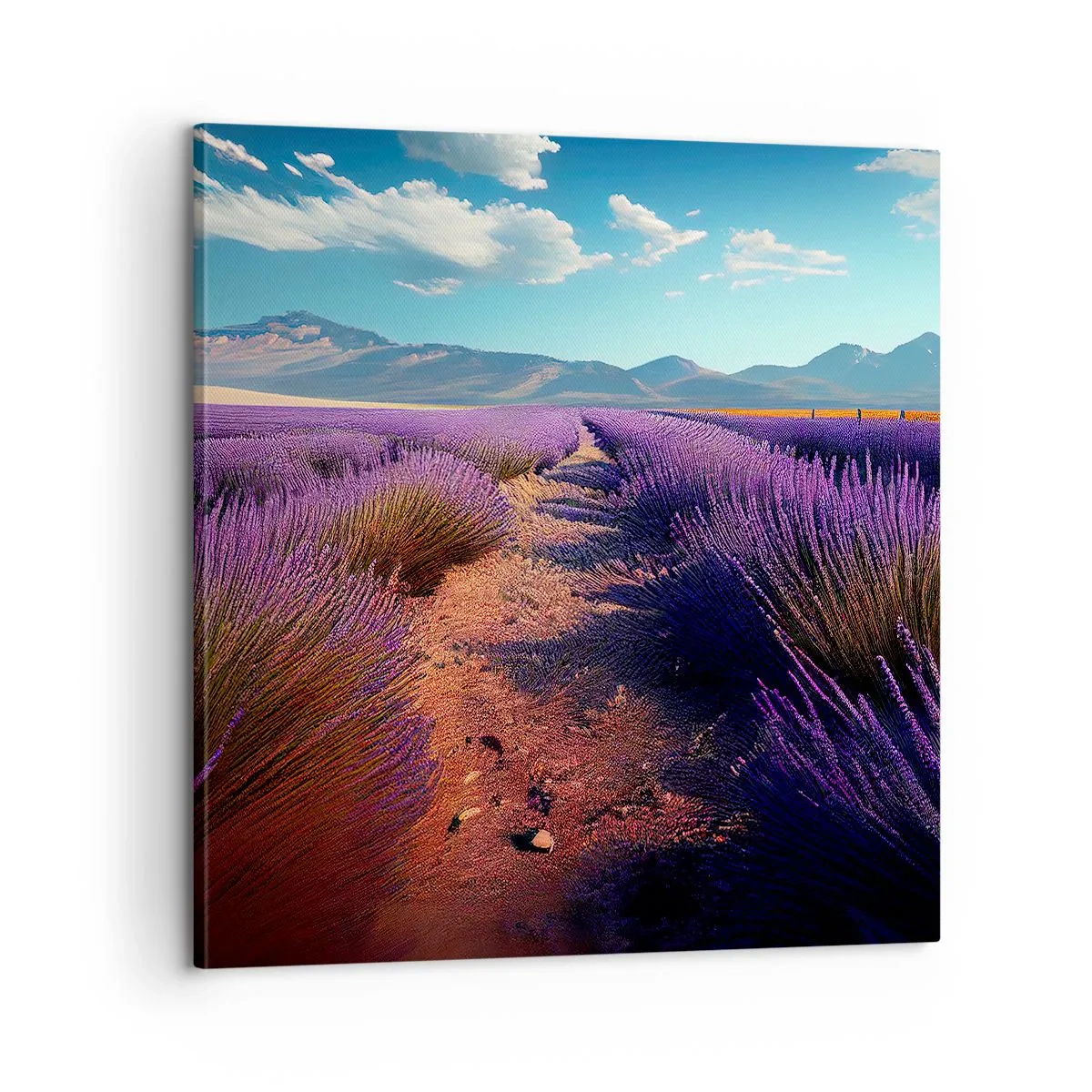 Canvas picture - Fragrant Fields - 60x60 cm