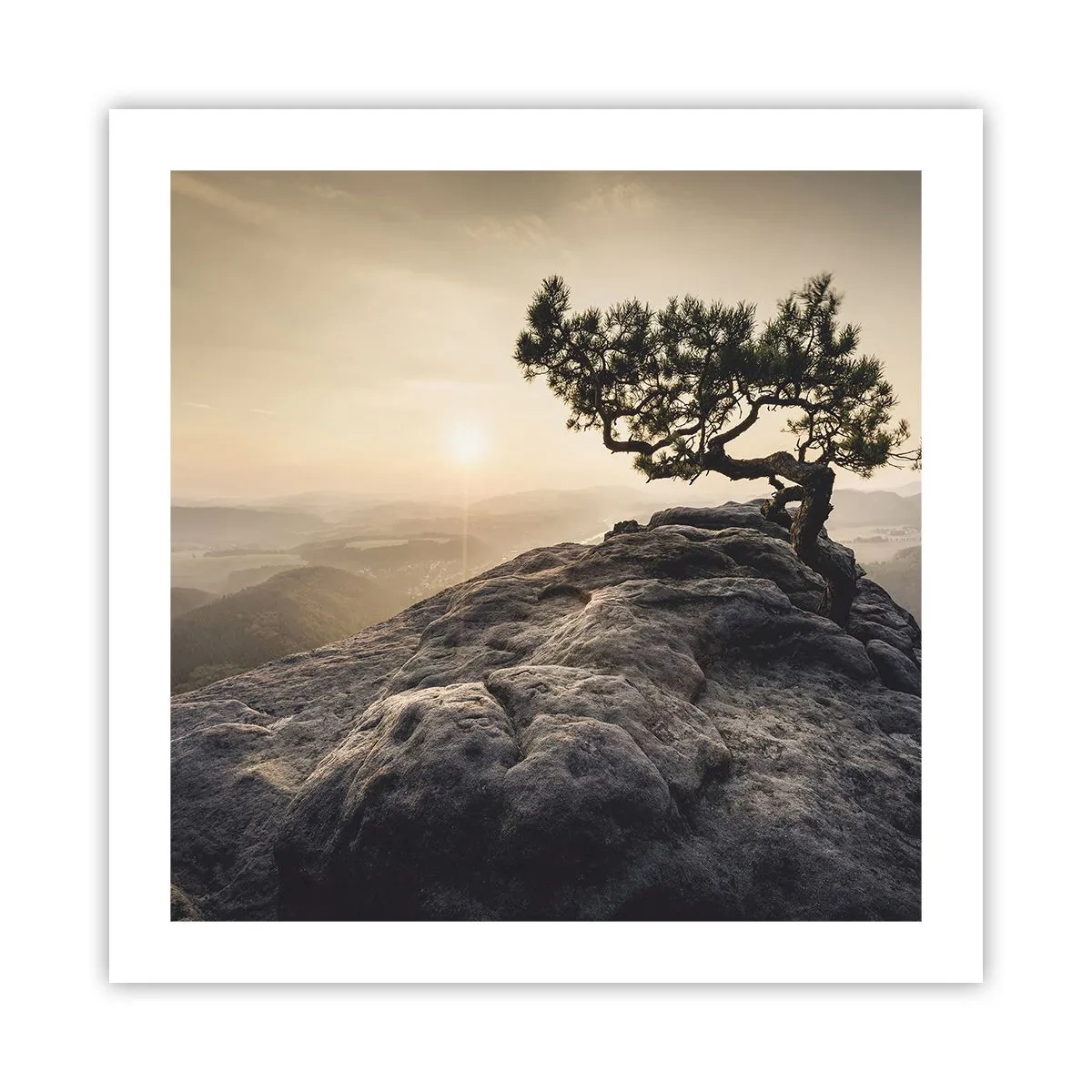 Poster - Life Always Wins - 50x50 cm