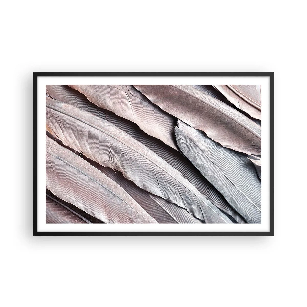 Poster in black frame - In Pink Silverness - 91x61 cm