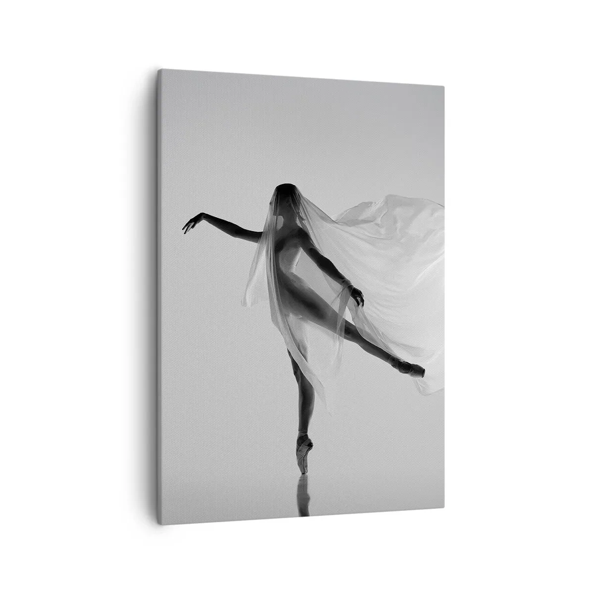 Canvas picture - Lightness and Grace - 50x70 cm