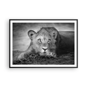 Poster in black frame - Royal Puppy - 100x70 cm
