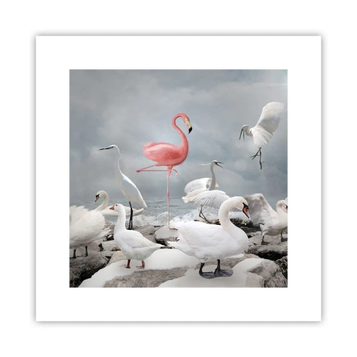 Poster - Where Did I Come from? - 30x30 cm