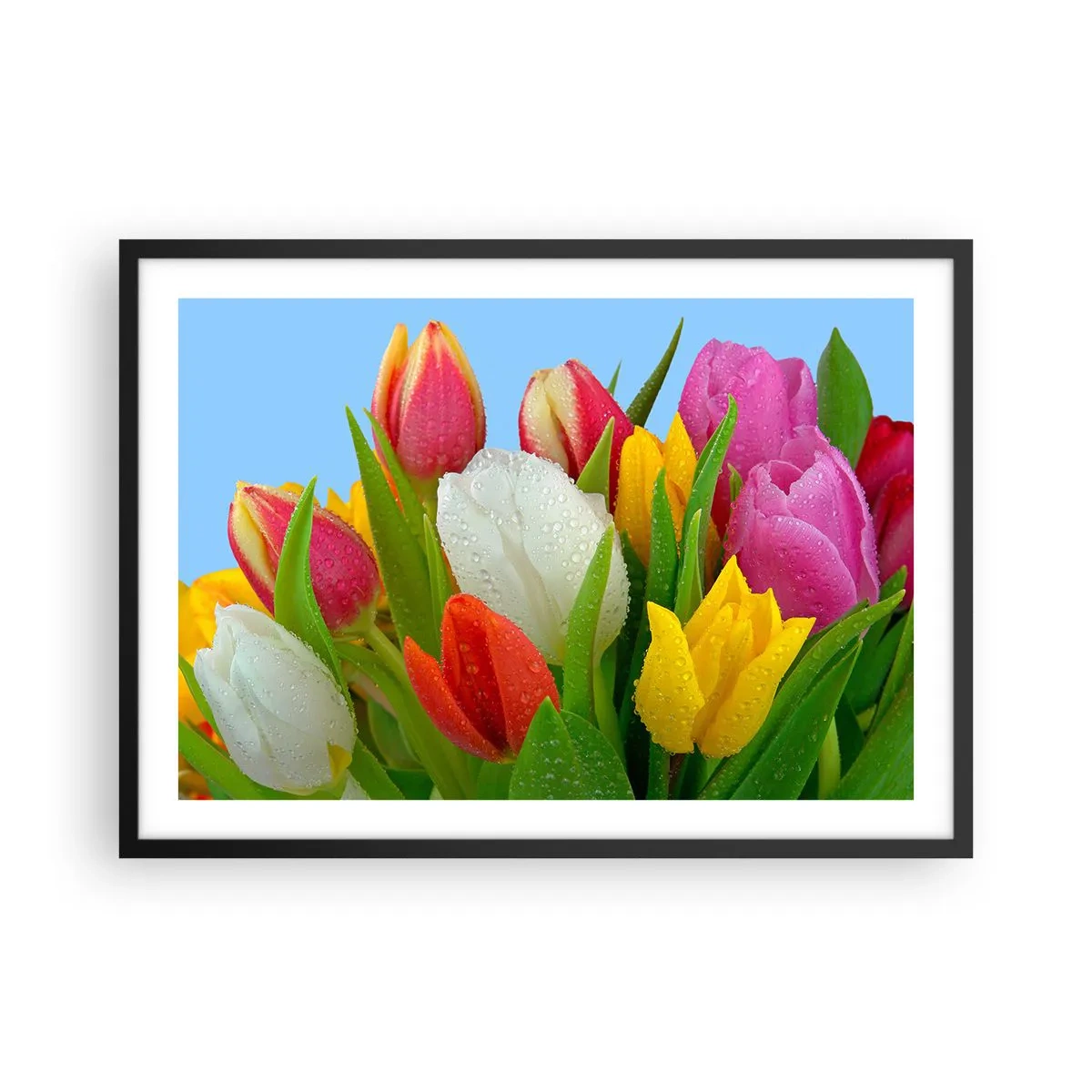 Poster in black frame - Floral Rainbow in Dew Drops - 70x50 cm