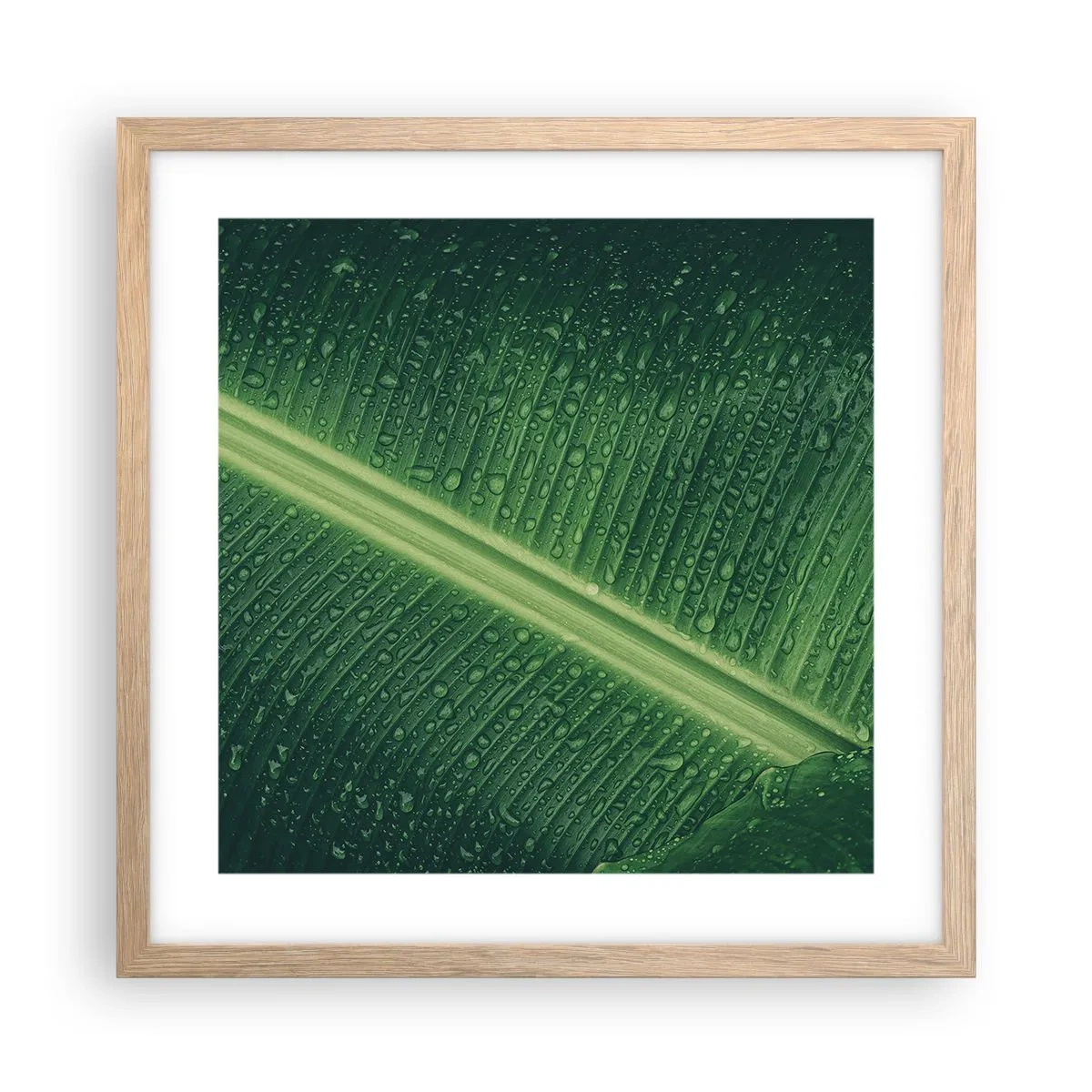 Poster in light oak frame - Structure of Green - 40x40 cm
