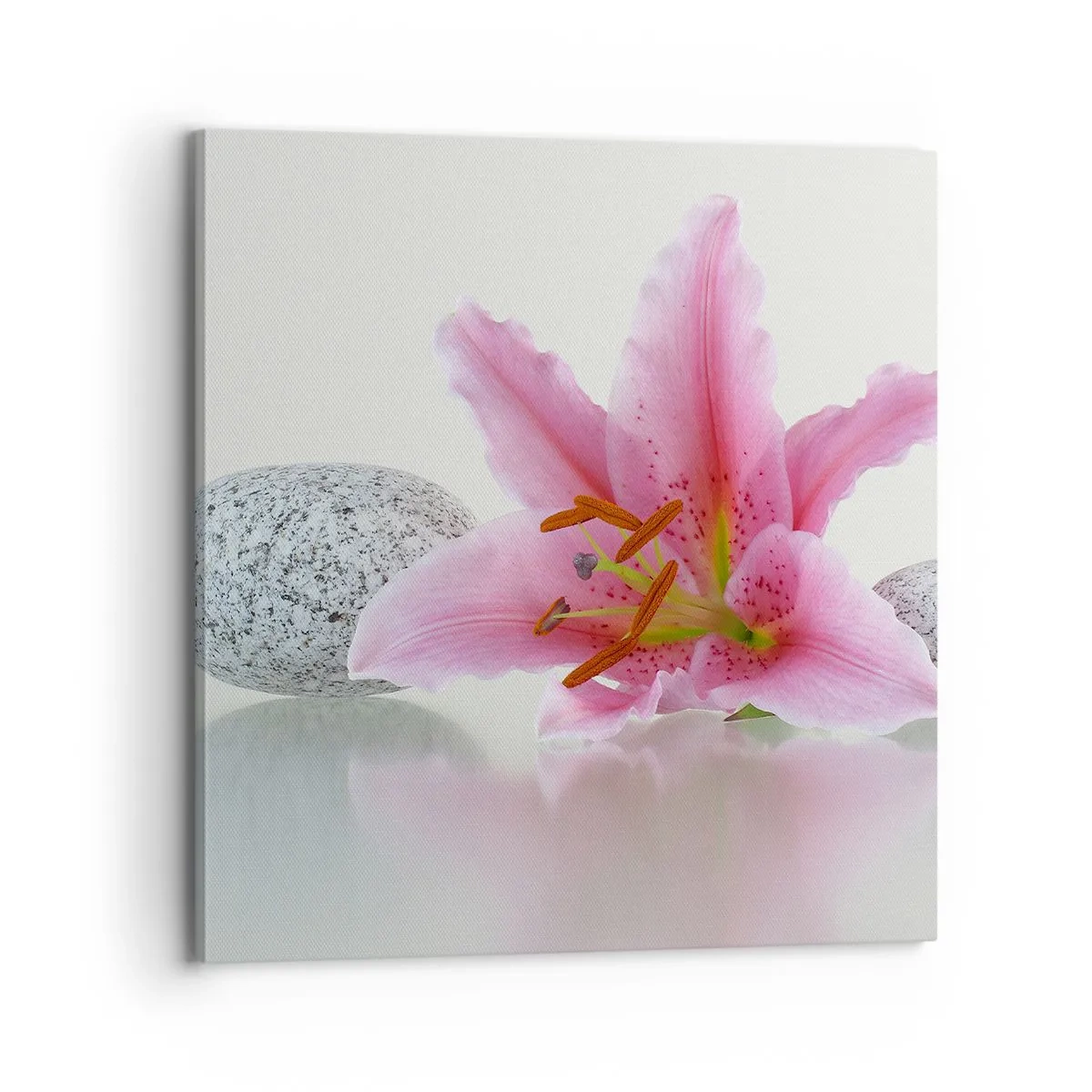 Canvas picture - Study in Pink, Grey and White - 70x70 cm