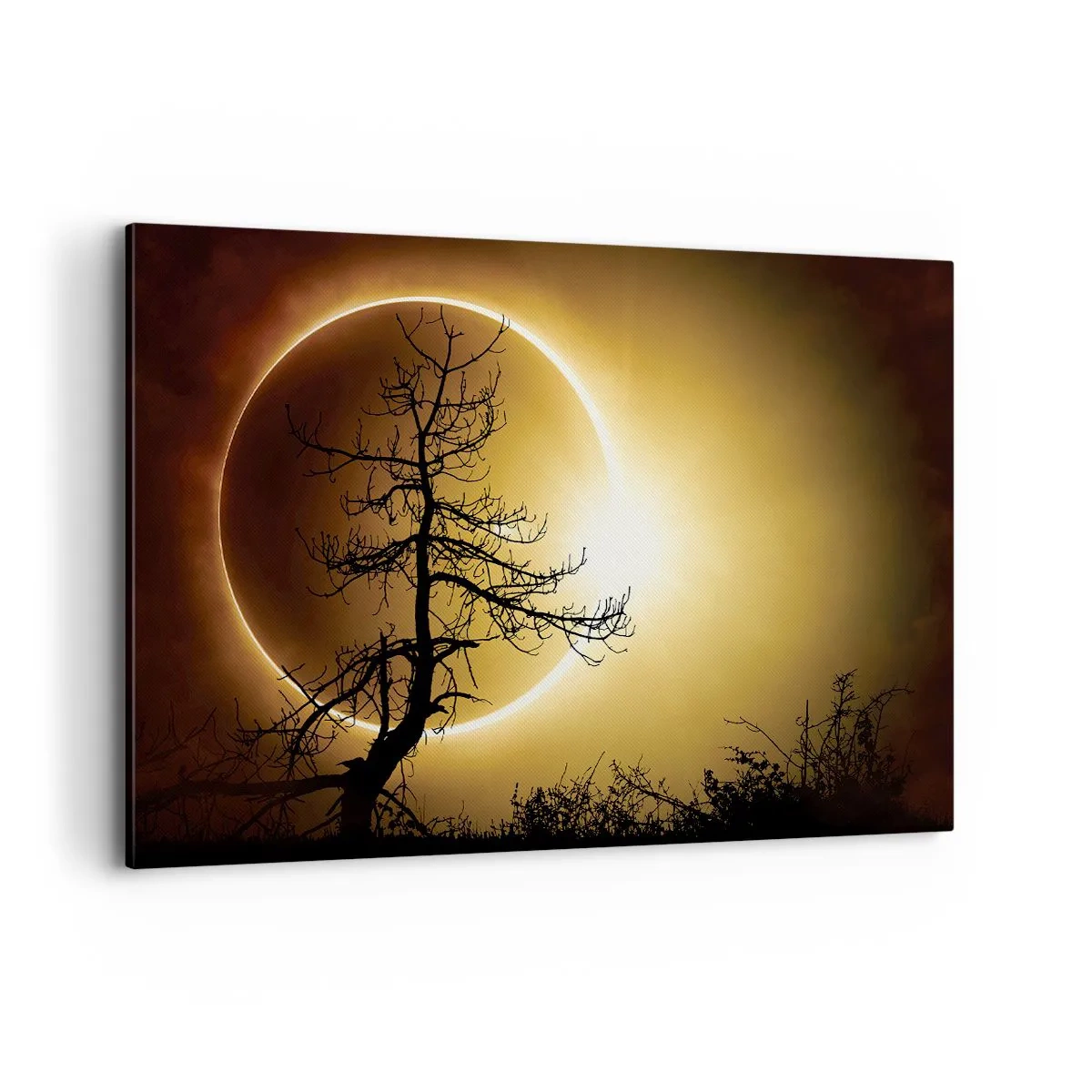 Canvas picture - Total Eclipse - 120x80 cm