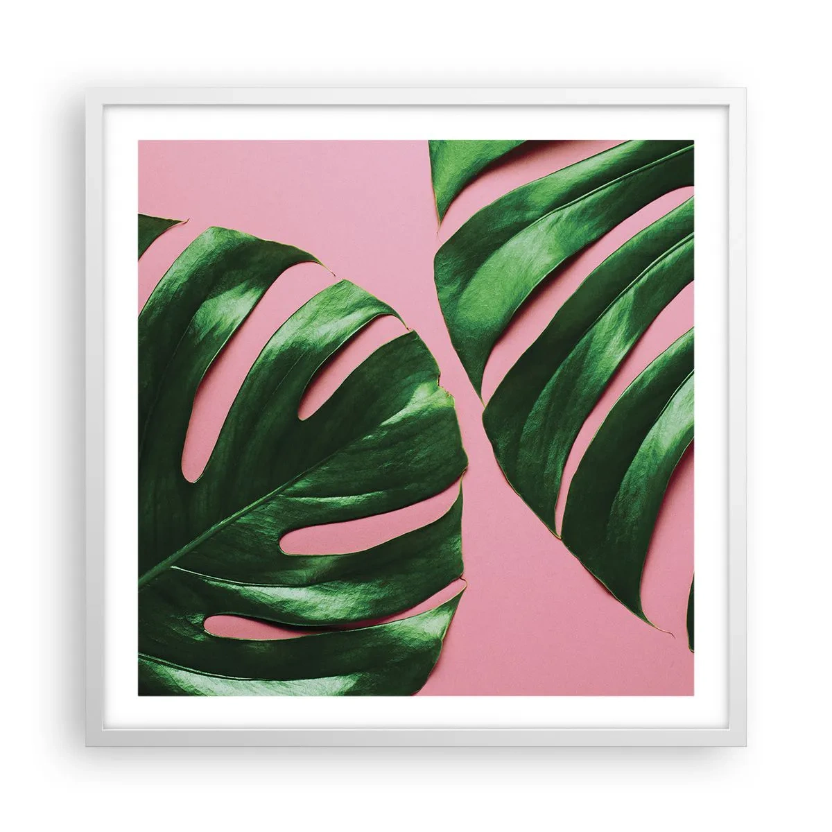 Poster in white frmae - Green Rendezvous - 60x60 cm