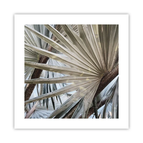 Poster - Fans in tropics - 40x40 cm